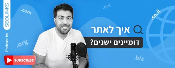איך למצוא דומיינים ישנים?
