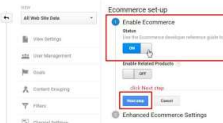 Enable Ecommerce