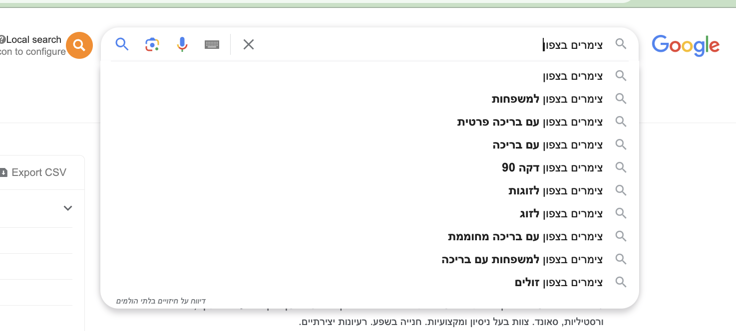 השלמה של גוגל